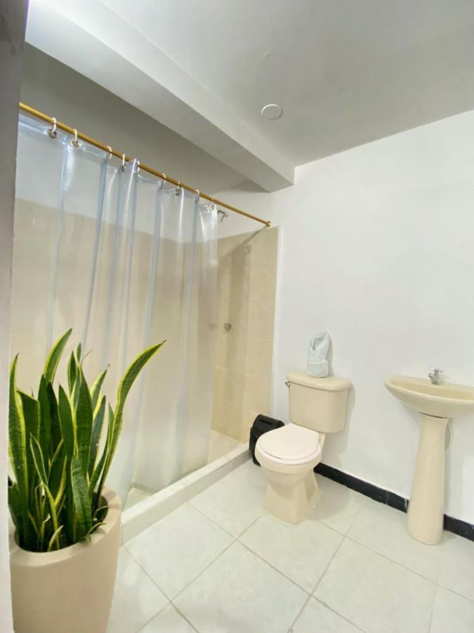 Hotel Casa Palermo Medellín Buitenkant foto